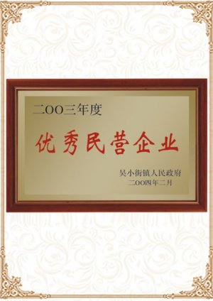 2003優(yōu)秀民營(yíng)企業(yè)